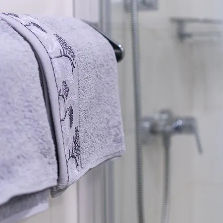 Zara オパティヤ