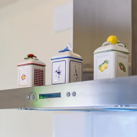 Zara * オパティヤ